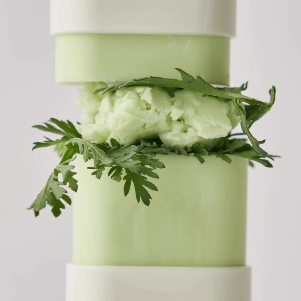 KIT 5 Beauty of Joseon Matte Sun Stick mugwort + carmelia